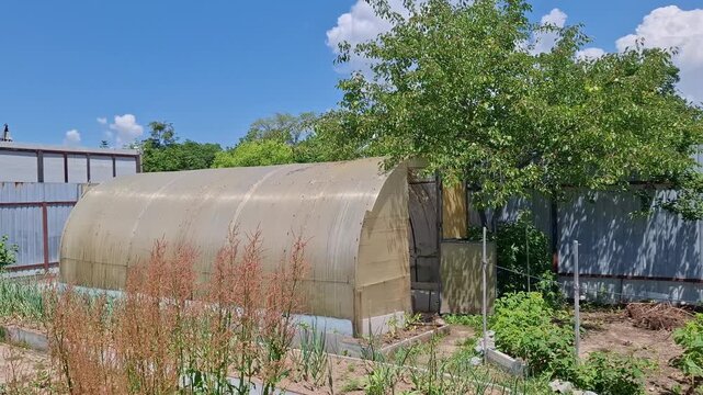 Arched plastic greenhouse located in countryside kitchen garden under blue sky. Old polycarbonate hotbed for growing organic vegetables surrounded by green plants, trees and fences in village backyard