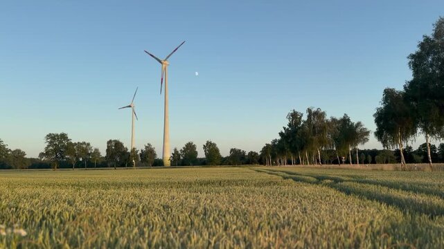 Sanfter Kameraschwenk &uuml;ber eine l&auml;ndliche Feldlandschaft mit modernen Windkraftanlagen im warmen Licht der Goldenen Stunde