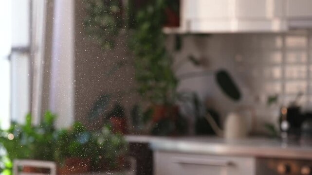Dust motes floating in the air, illuminated by sunlight streaming through window in apartment, selective focus. Cause of allergies. House cleaning. Slow motion. 
