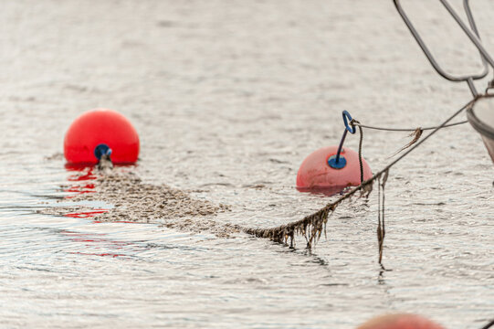 Red mooring buoys floating on calm water beside weathered rope.