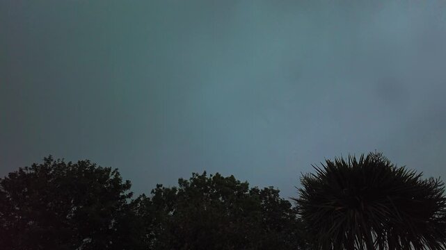 A dramatic slow motion view capturing multiple lightning strikes during a severe electrical storm illuminating the dark sky above dense tree foliage in Looe Cornwall United Kingdom. Captured during in