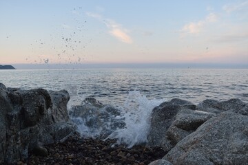 Fototapeta premium sea and rocks Sardinia Cagliari