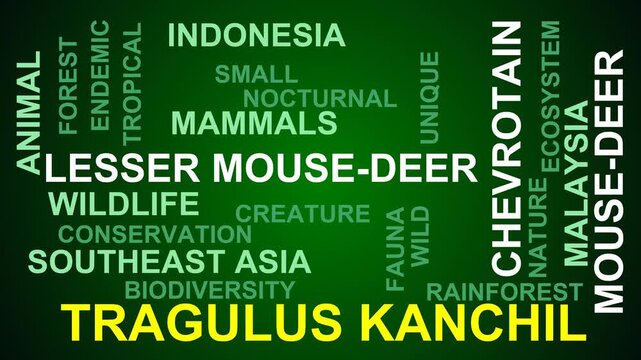Tragulus Kanchil Word Cloud