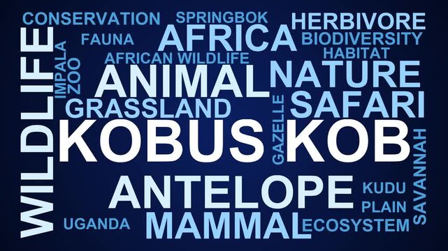 Kobus Kob Word Cloud