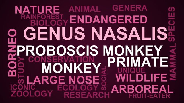 Genus Nasalis Word Cloud