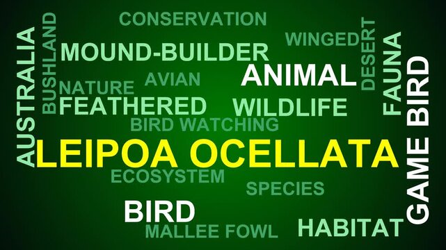 Leipoa Ocellata Word Cloud