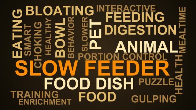 Slow Feeder Word Cloud