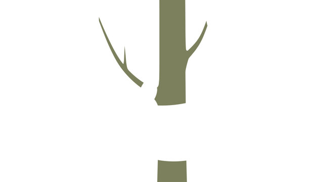 Tree trunk with a section removed showing a grafting technique or pruning mark for forestry maintenance and plant health assessment.