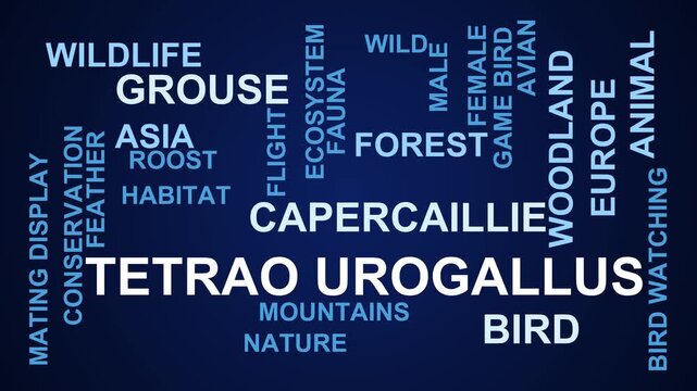 Tetrao Urogallus Word Cloud