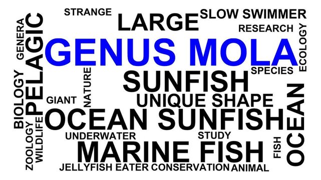 Genus Mola Word Cloud