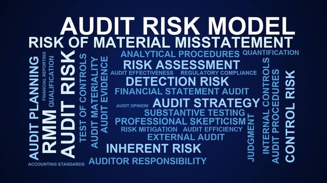 Audit Risk Model Word Cloud