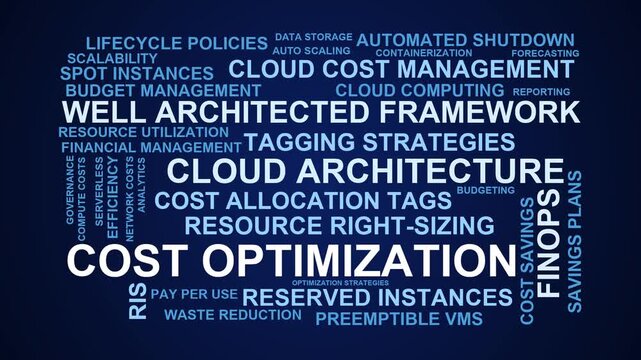 Cost Optimization Word Cloud