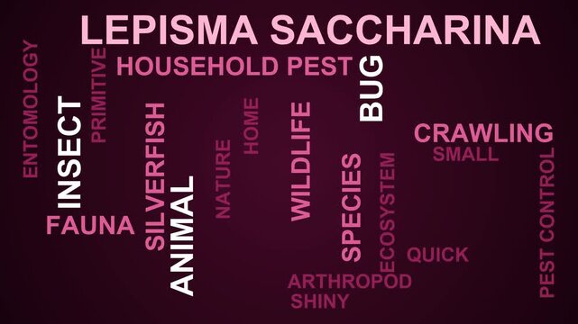 Lepisma Saccharina Word Cloud