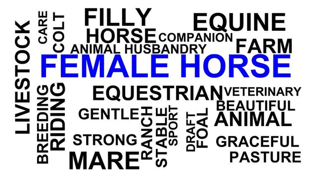 Female Horse Word Cloud