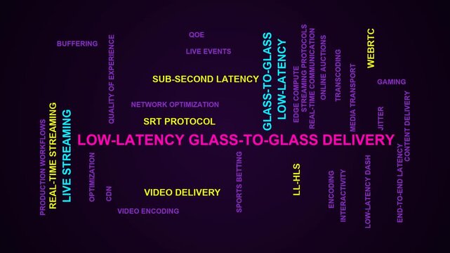 Low-Latency Glass-To-Glass Delivery Word Cloud