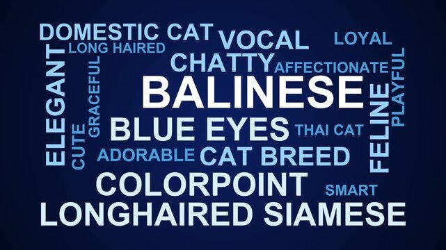 Balinese Word Cloud