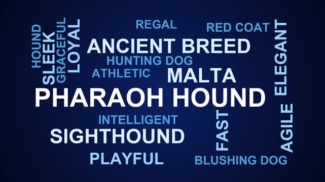 Pharaoh Hound Word Cloud