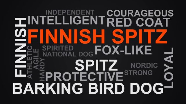Finnish Spitz Word Cloud