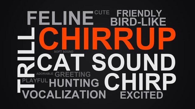 Chirrup Word Cloud