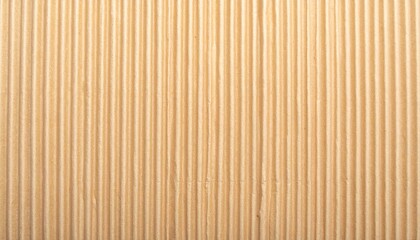 Fototapeta premium Organic Wood Texture Background
