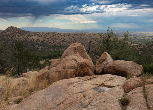 Tiny pool of water for wildlife in Arizona's mountains is all that remains after a storm