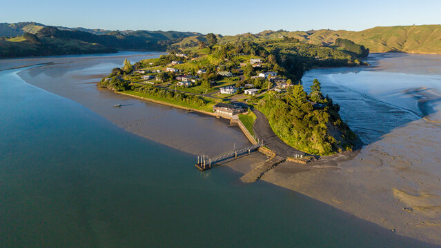 Native forest and bush of New Zealand