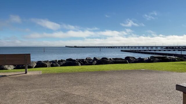     Coastal Pathway with Native Vegetation and Ocean View