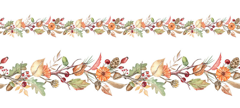 Watercolor autumn botanical seamless garlands of calendula flowers, acorns, leaves, pinecones, twigs, and berries. Beautiful seamless borders for scrapbooking, decorative tape, greeting cards