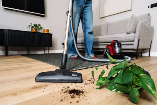 Woman uses vacuum cleaner to clean floor in living room of modern apartment