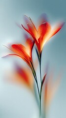 Obraz premium Vibrant orange flowers against blue