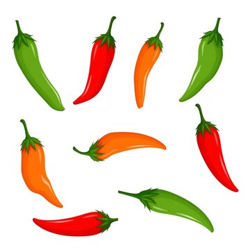 Chili Pepper Color and Outline Fresh Red Green Orange Cabai Cabe Illustration Set