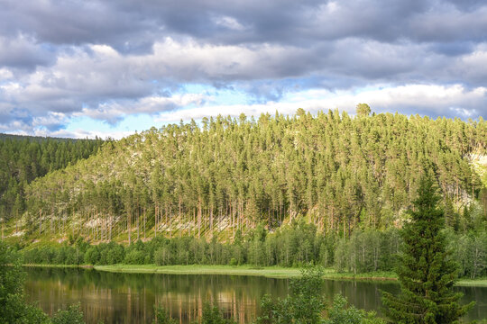 Pine Forest Reflecting in Lake at Sunset in &Oslash;sterdalen, Norway