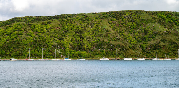 Sailboats moored along the shore of Porirua Harbour against a lush green hillside, viewed from the Northern Explorer train route in Porirua, Wellington, New Zealand in November 2025.