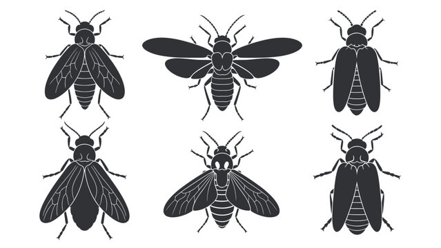 Collection of six stylized black insect illustrations on a white background, showing different types of bugs.