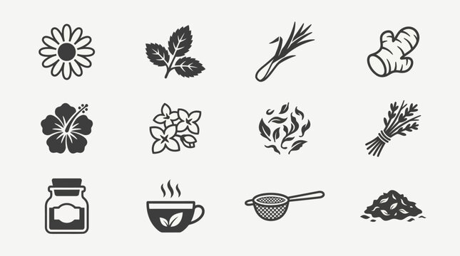 Flat minimal vector icon set of 12 herbal tea plants: chamomile flower, peppermint leaves, lemongrass stalk, ginger slice, hibiscus flower, jasmine flower, dried tea leaves, tea herb bundle, tea jar 