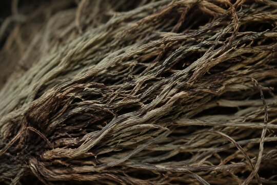 Close-up of dry intertwined vetiver roots in gray-green and brown, showing texture.