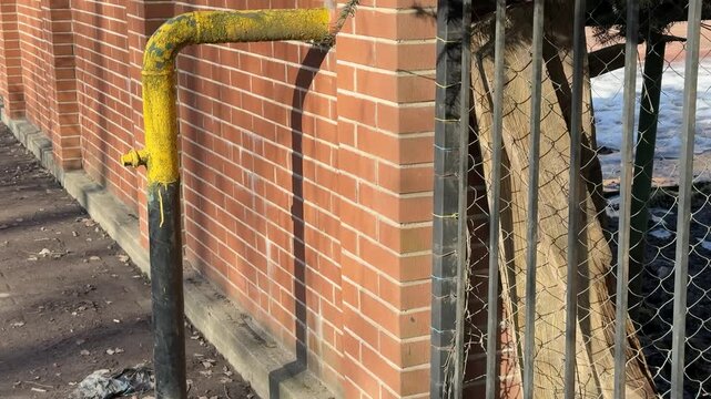 Yellow gas pipe through brick wall showing residential supply to cottage village, metal support post and iron fence, evergreen