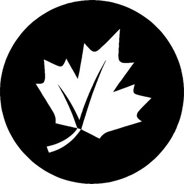 Simple white maple leaf on dark background.