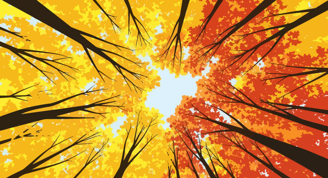 Vibrant Autumn Canopy Looking Up Through Golden and Orange Leaves.