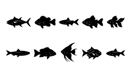Obraz premium Fish Silhouettes in Various Shapes and Sizes Arranged in Two Rows Featuring Silhouette, Aquatic, Marine with Ocean and Sea