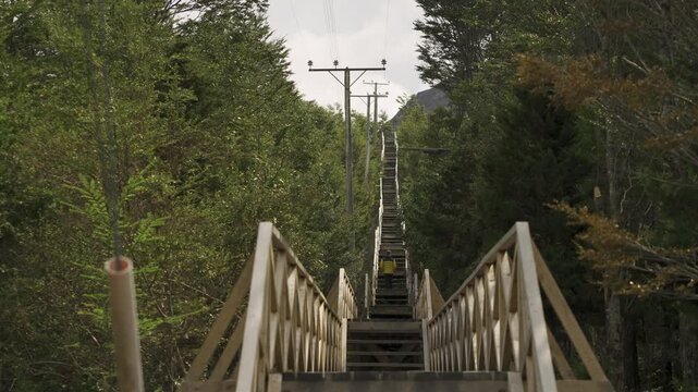 Low angle view of a person wearing a yellow jacket climbing a long, steep series of wooden stairs surrounded by dense forest, with power lines running alongside the path.