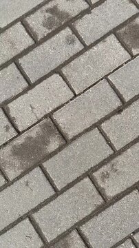 Close-up gray paving stones overhead showing repeating rectangular tiles, rough aggregate texture, dark grout lines, subtle stains