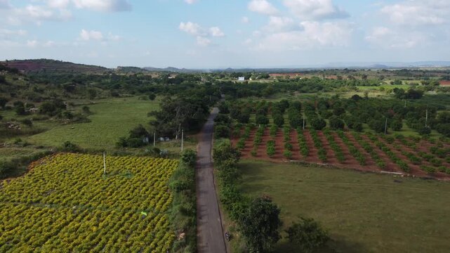 Cinematic footage captured from an aerial view of an Indian village, India.