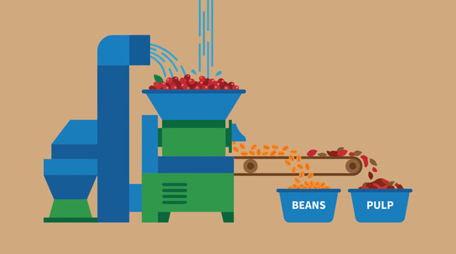 Coffee Cherry Pulping Machine Wet Mill Processing
