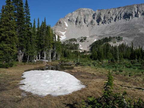 Lingering snow along the Blue Lake Trail in the Indian Peaks Wilderness, Colorado