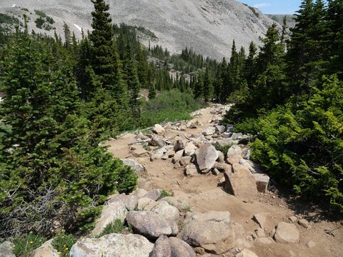 Rocky hiking trail through subalpine forest in the Indian Peaks Wilderness, Colorado