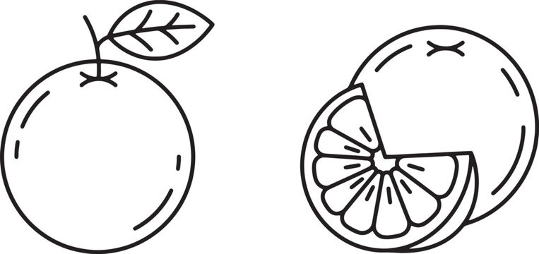 Art & Illustration, Whole orange fruit with leaf and sliced citrus half line icon set. Fresh vitamin C juice segment and organic food concept.