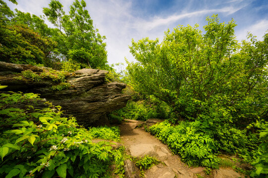 A rock formation that looks like a giant or ogre on the Craggy Pinnacle Trail near Ashville, North Carolina USA forest in the morning