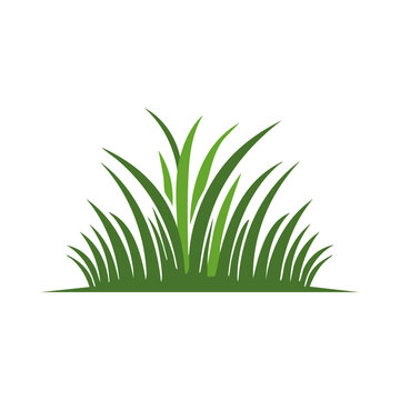 Green Grass Blades Vector Illustration