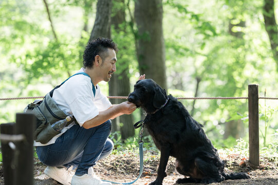 犬と触れ合いながら散歩を楽しむ男性 公園で大型犬のペットに躾をするライフスタイル　おやつ（トリーツ）どうぞ